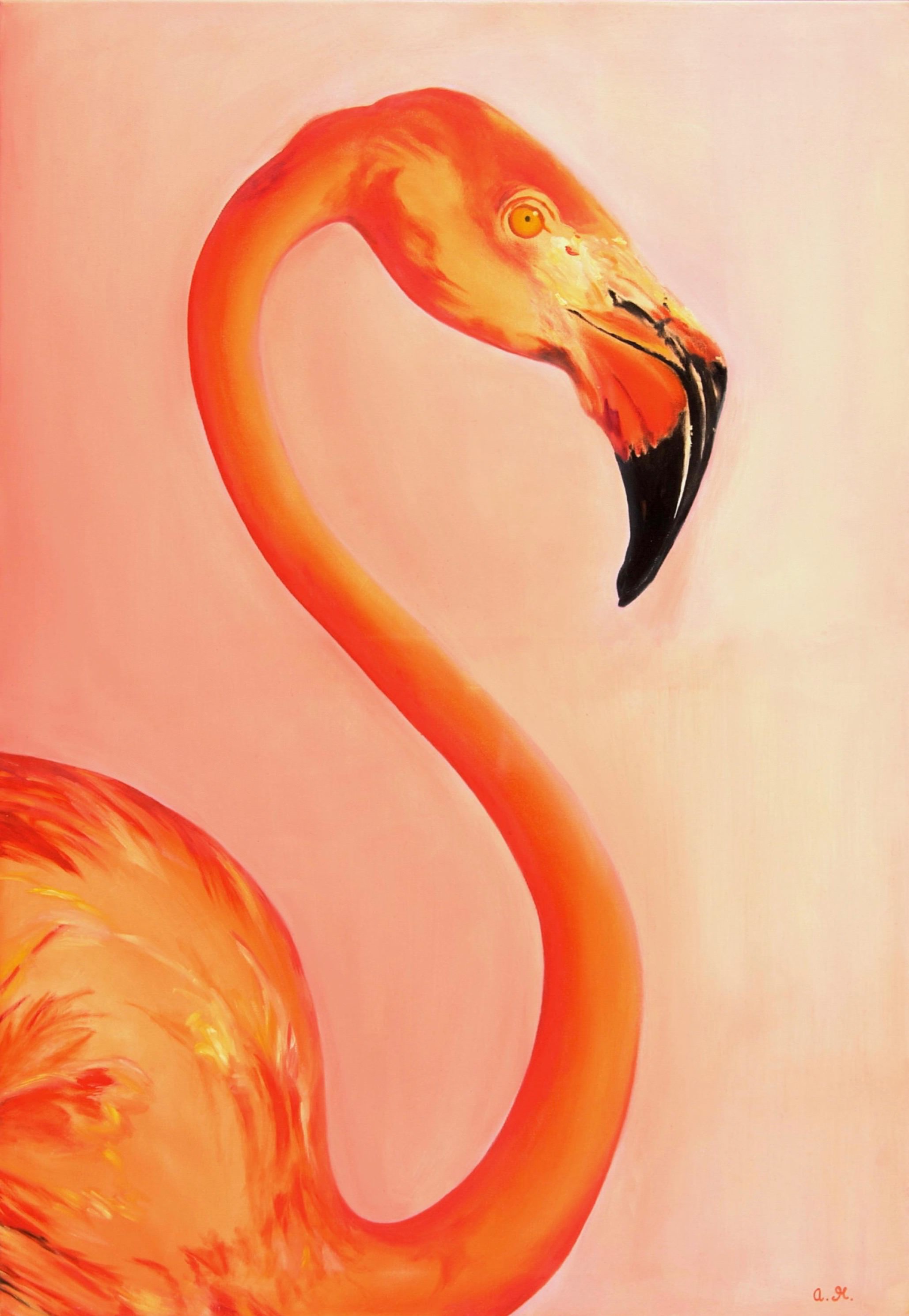 Flamingo Für Ama